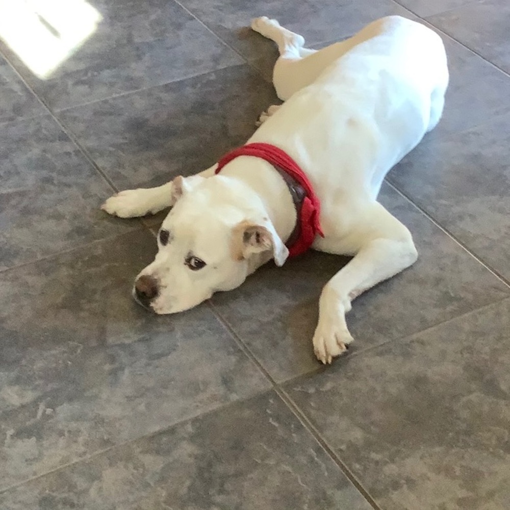 Meet your Posher, Kimberly